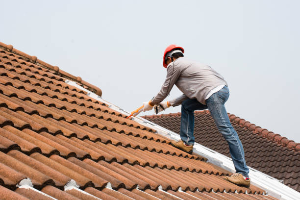 Best Sheet Metal Roofing  in China Grove, NC