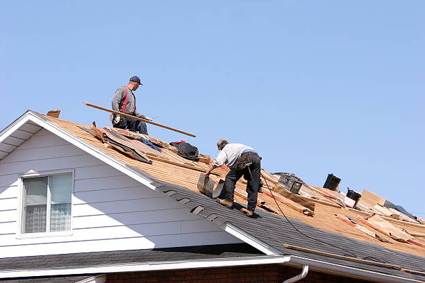 Best Asphalt Shingle Roofing  in China Grove, NC