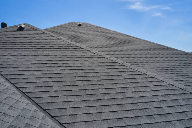 Best Solar Panel Roofing Installation  in China Grove, NC